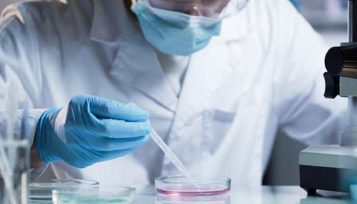 BASF and Givaudan get OECD approval for first animal-free toxicology testing