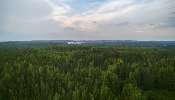 Metsä Board strengthens its strategic 2030 sustainability targets