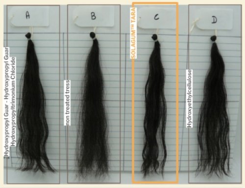 Figure 2 -Evaluation of hair smoothing maintenance and volume control of...
