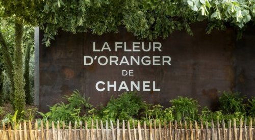 Chanel met la fleur d'oranger à l'honneur au jardin des Tuileries à Paris