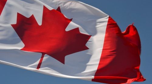 Le Canada rejoint les pays interdisant les tests de cosmétiques sur animaux