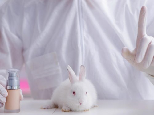 Colombia to ban use of animals in cosmetics testing by 2024