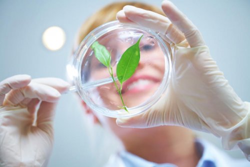 DNA & Cosmetics to promote the traceability of natural resources