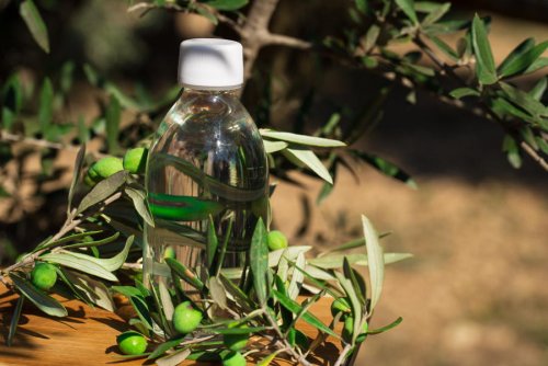 Sophim: a virtuous, sustainable squalane derived from olive cultures