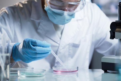 L'OCDE approuve les tests toxicologiques alternatifs de BASF et Givaudan