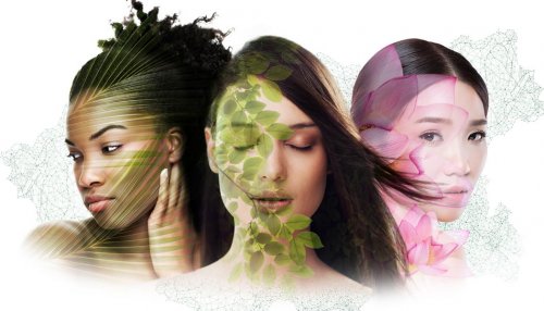 Actismart SW extracts: A multifunctional range of botanicals by LLS Beauty