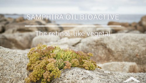 Samphira Oil Bioactive, a vegetal retinol-like