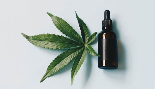 After CBD, cosmetic science investigates the benefits of CBG