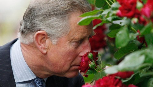 Le prince Charles lance un parfum aux senteurs de Highgrove avec Penhaligon's