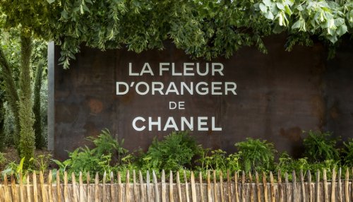 Chanel met la fleur d'oranger à l'honneur au jardin des Tuileries à Paris