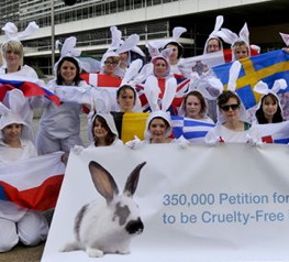 High Court refers questions about the scope of the ban on animal testing of cosmetics to the ECJ