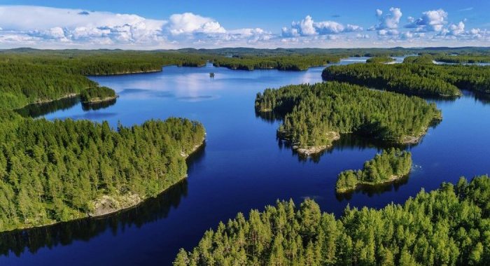 Durabilité : Metsä Board de nouveau certifié niveau Platine par EcoVadis