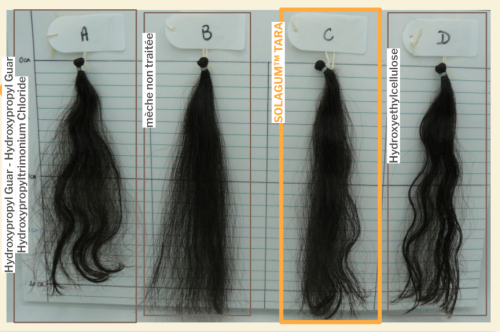 Figure 3 -Evaluation of hair smoothing maintenance and volume control of...